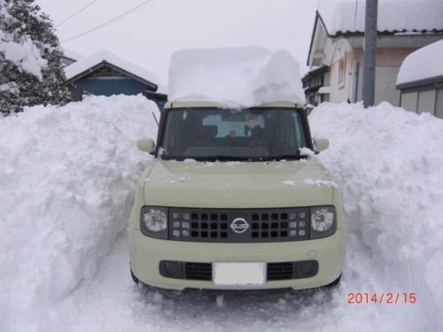 CIMG7127 (640x480).jpg