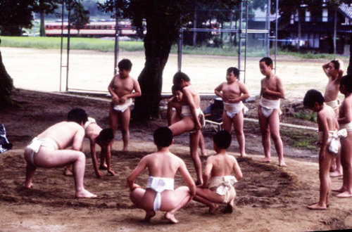 子供相撲.jpg