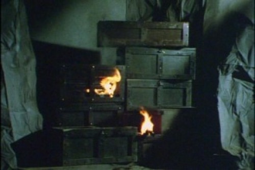 PDVD_077.jpg