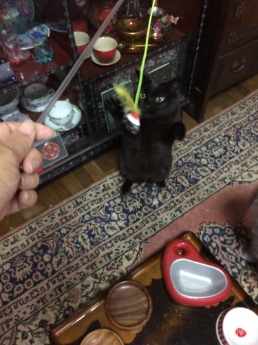 IMG_0646 - コピー.JPG