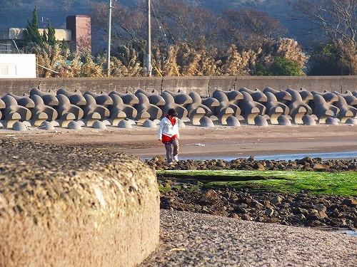 長崎鼻と真玉の海 120.jpg