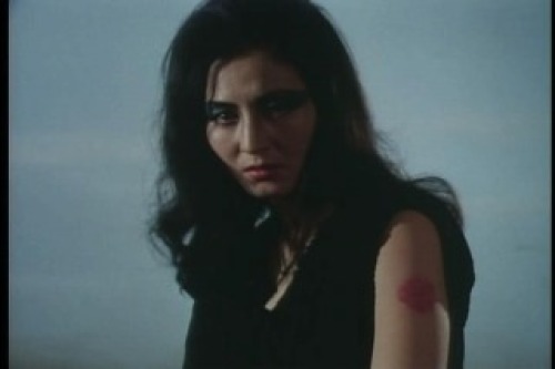 PDVD_045.jpg