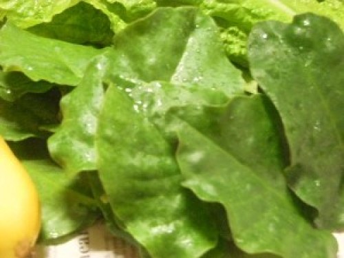 DSCN9050 (300x225).jpg