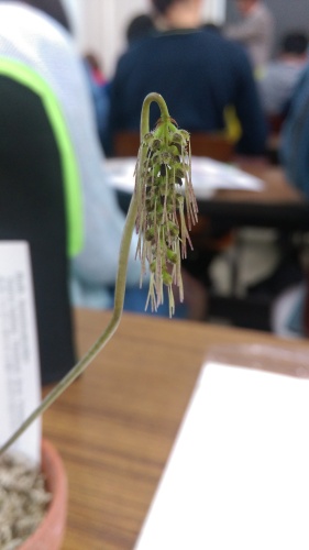 IMAG0716.jpg