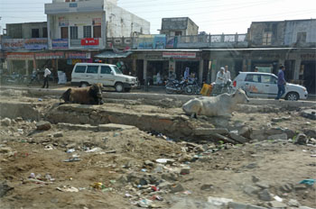 インド929.jpg