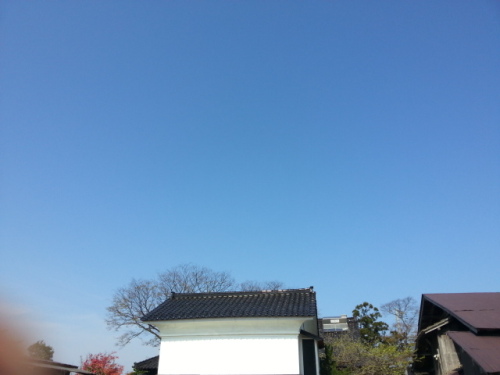 20140429_084119.jpg