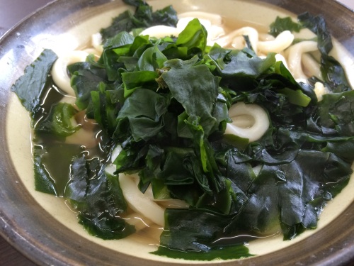 udon.jpg