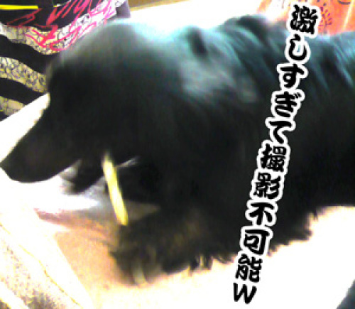 w0.jpg