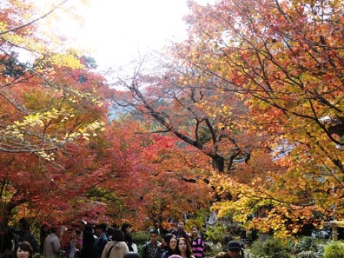 常寂光寺.jpg