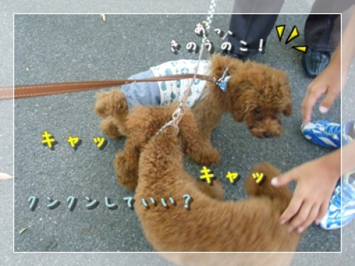 DSCF4260.JPG