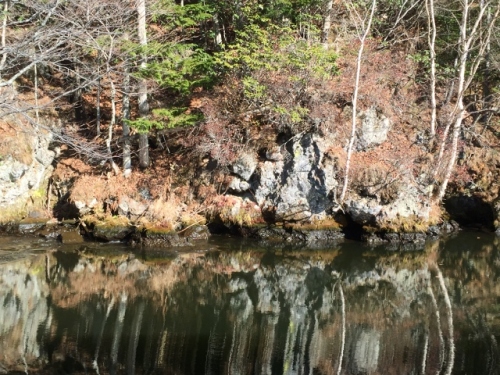 IMG_8098 (640x480).jpg