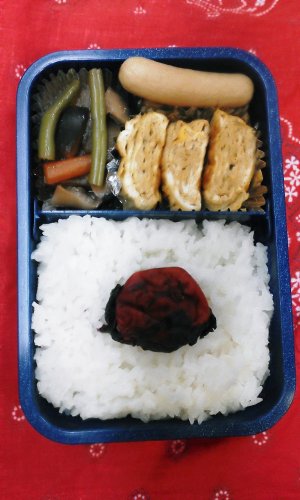 煮物弁当.jpg