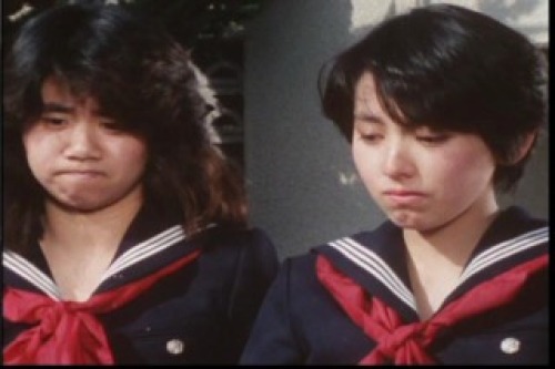 PDVD_030.jpg