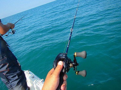 行ってきました アオリイカ釣り 湯浅湾でティップラン編 アオリイカ釣り奮闘記 楽天ブログ