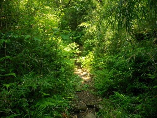 南郷山登山道 (2) (500x375).jpg