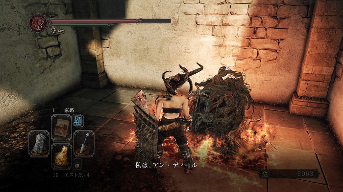 Dark Souls Ii日記 配慮のできるアン ディール のんびりしつつどんぶらこと泳いでいるとなんとそこで虚無る日記 楽天ブログ