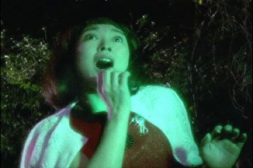 PDVD_002.jpg