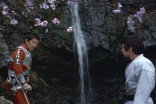 PDVD_006.jpg