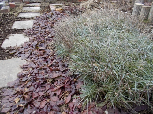 DSCN0202 (640x480).jpg