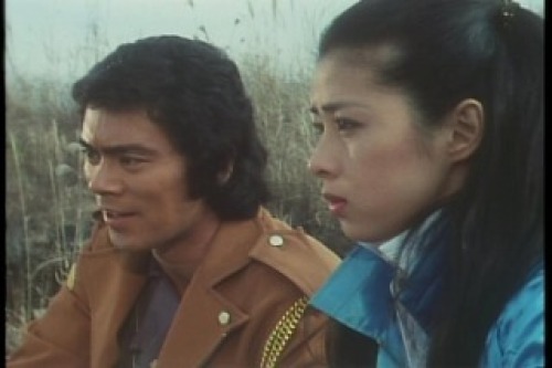 PDVD_001.jpg