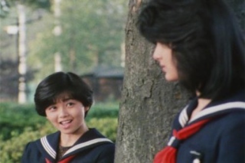 PDVD_010.jpg