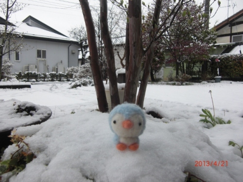 CIMG6769 (640x480).jpg