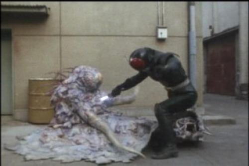 PDVD_075.jpg