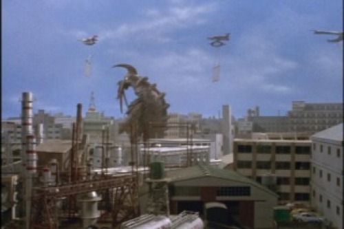 PDVD_018.jpg