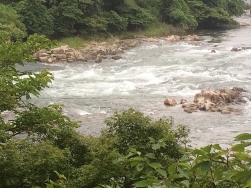 IMG_2817 (640x480).jpg