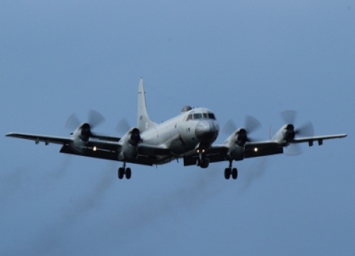 IMG_6079 (400x289).jpg