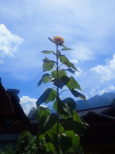 20120716_44.JPG