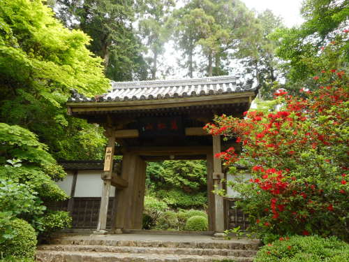 井伊谷城龍潭寺山門.JPG