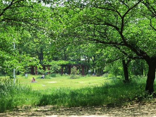 樟葉東公園1.jpg