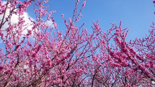 CYMERA_20160421_132450.jpg