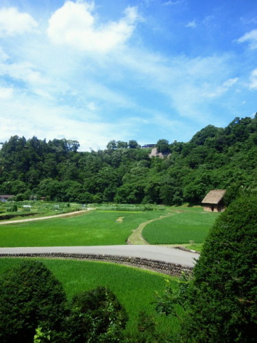 20120716_40.JPG