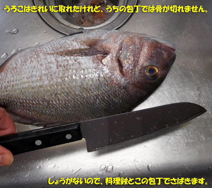 鯛をがんばってさばきました Kororin日記 楽天ブログ 鯛をがんばってさばきました Kororin日記 楽天ブログ