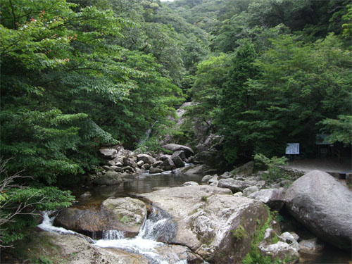 屋久島23.jpg