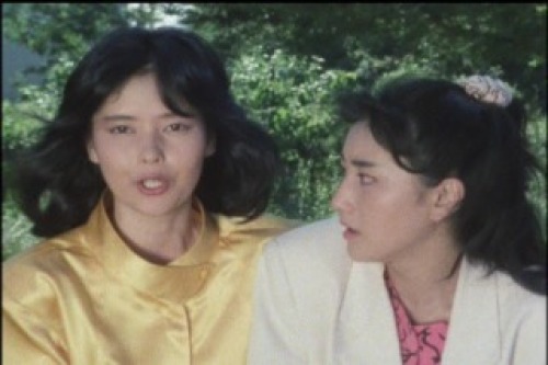 PDVD_018.jpg