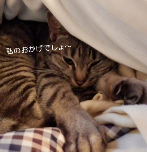 20150103_3.jpg
