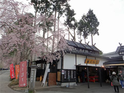 角館8.jpg