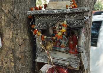 インド978.jpg