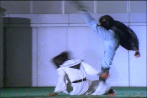 PDVD_223.jpg