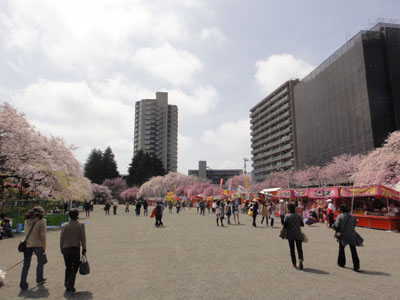 榴岡35.jpg