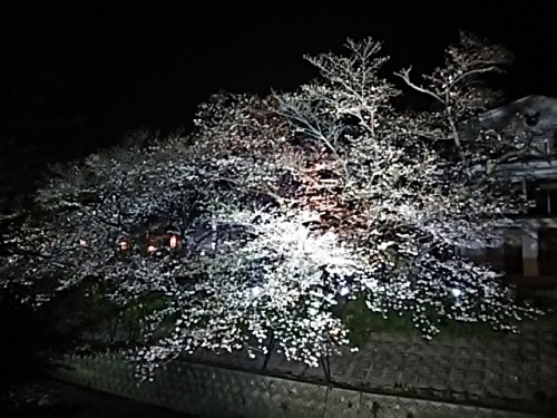 DSC_0275.JPG