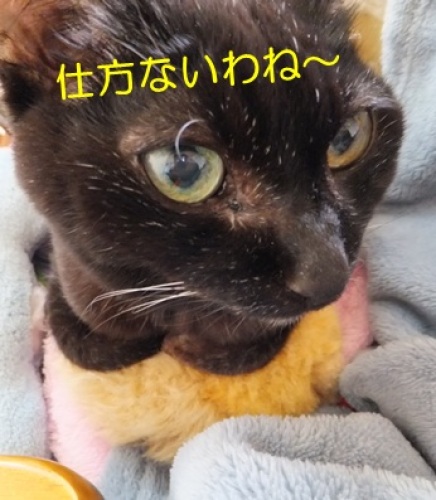 20130223_5.jpg
