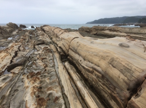 IMG_9712 (640x473).jpg