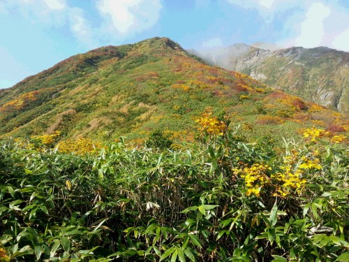 小倉山と魚沼駒.jpg