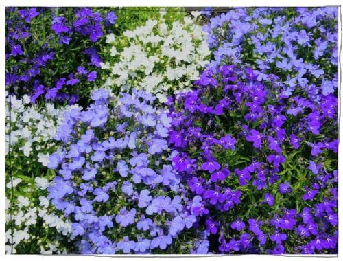 木曽三川公園　１３８タワー