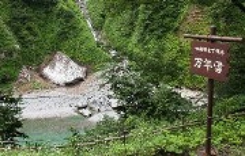 黒部川の万年雪