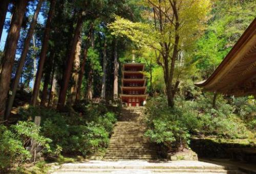 pict-室生寺 26.jpg